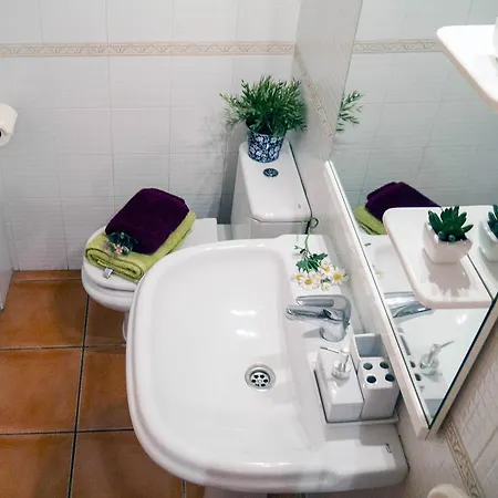 Apartman Flowers